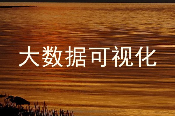 大数据可视化