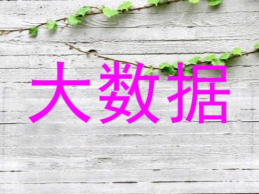 大数据