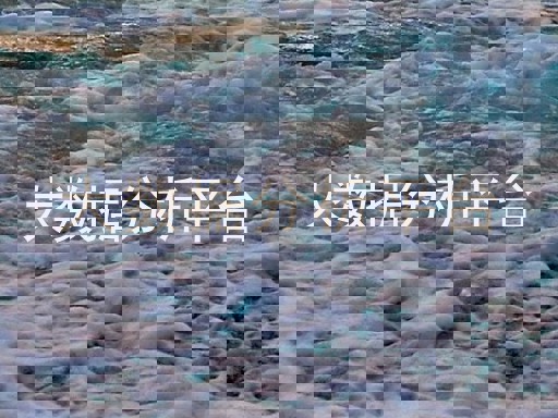 大数据分析平台