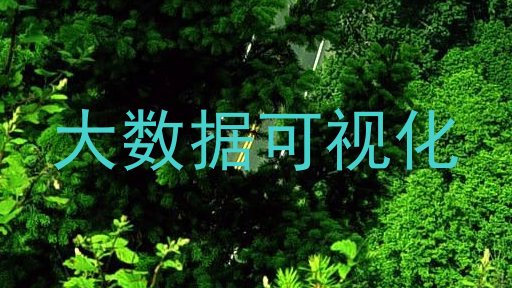 大数据可视化