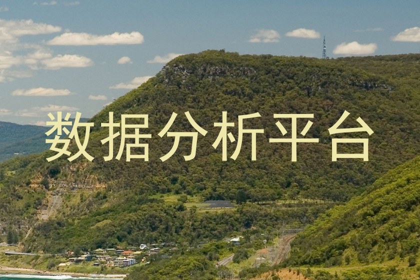 数据分析平台
