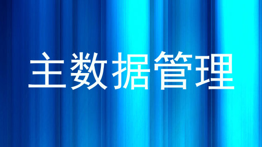 主数据管理