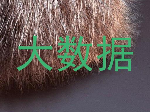 大数据