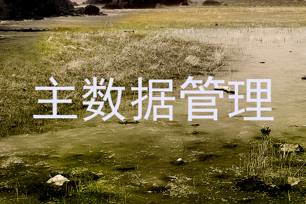 主数据管理