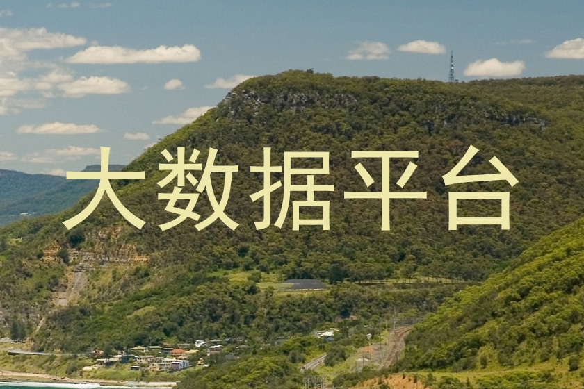 大数据平台
