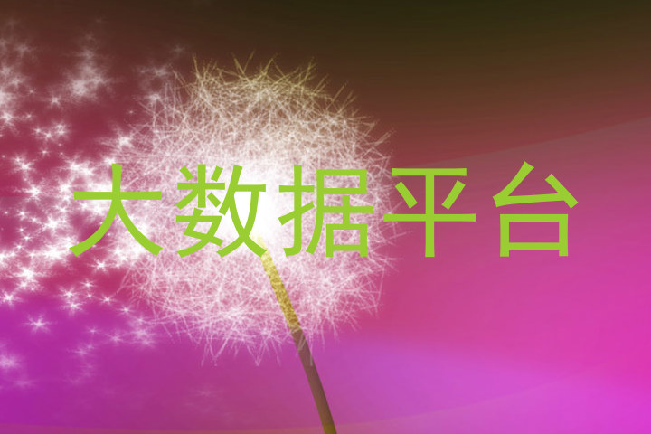 大数据平台