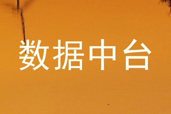数据中台