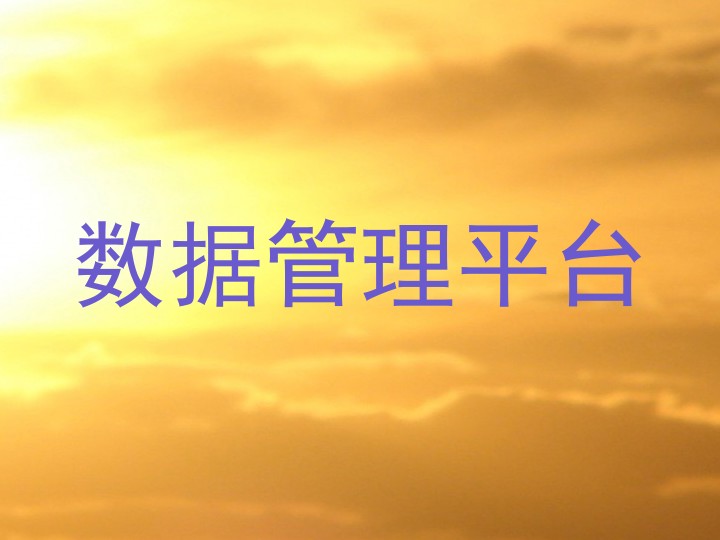 数据管理平台