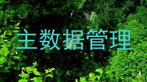 主数据管理