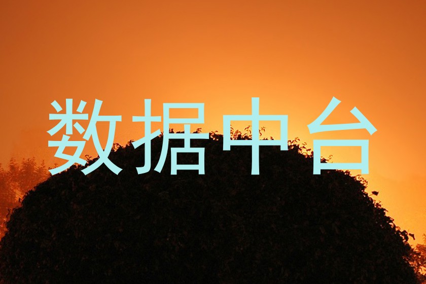 数据中台