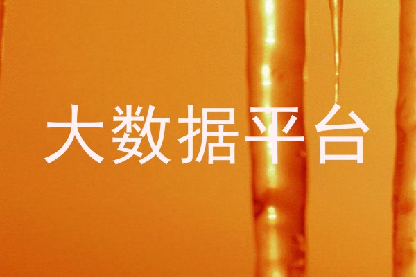 大数据平台