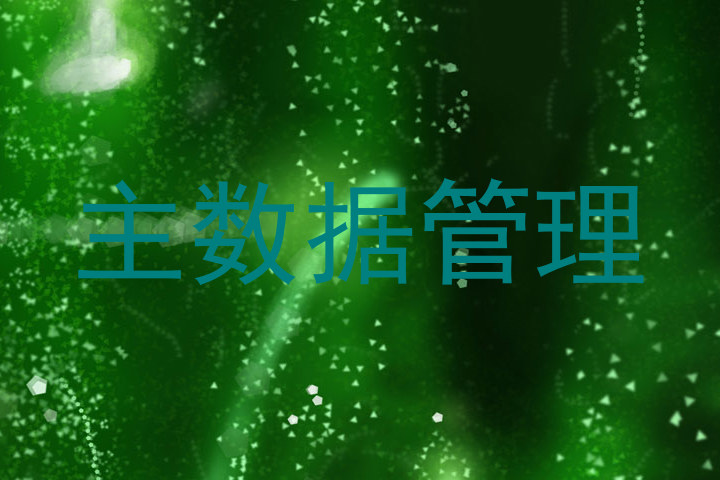 主数据管理