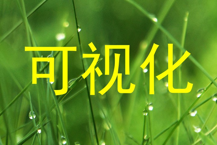 可视化