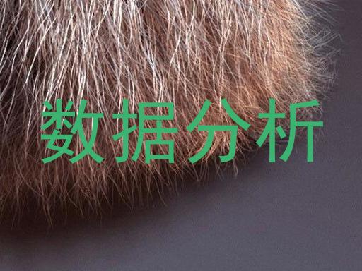 数据分析