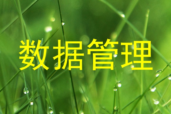 数据管理