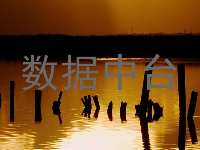 数据中台