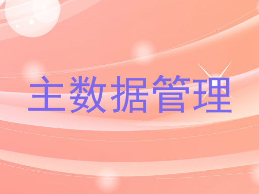 主数据管理