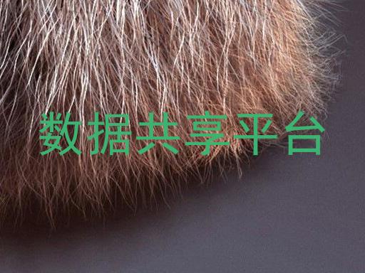 数据共享平台