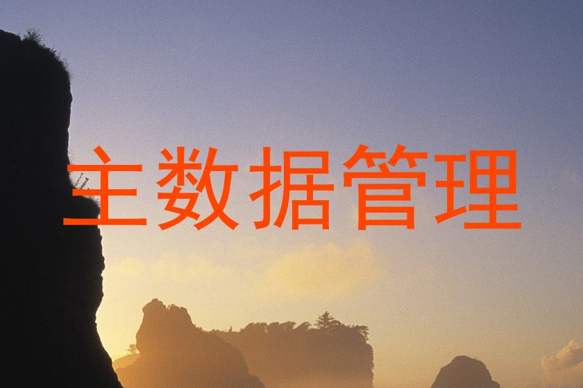 主数据管理