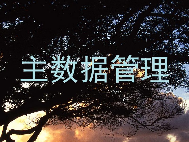 主数据管理