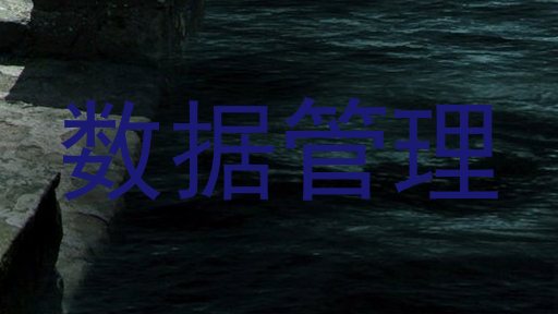 数据管理
