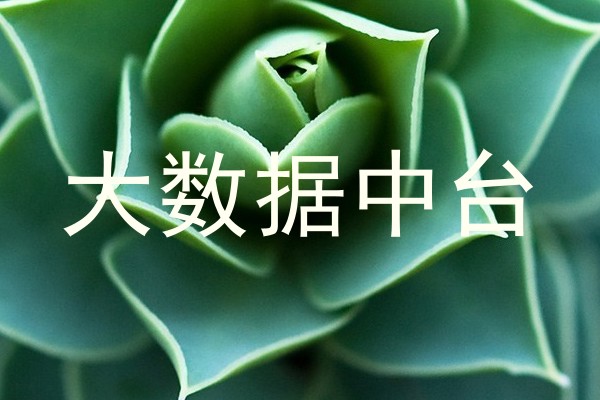 大数据中台