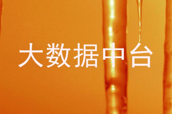 大数据中台