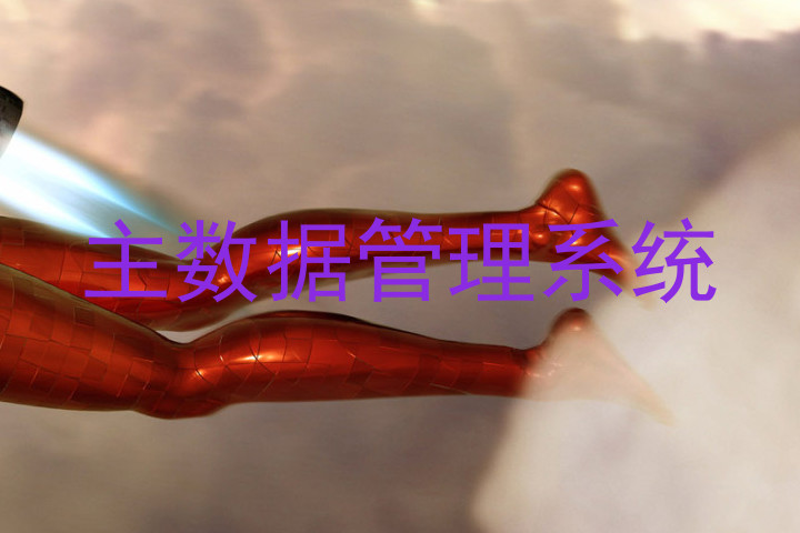 主数据管理系统