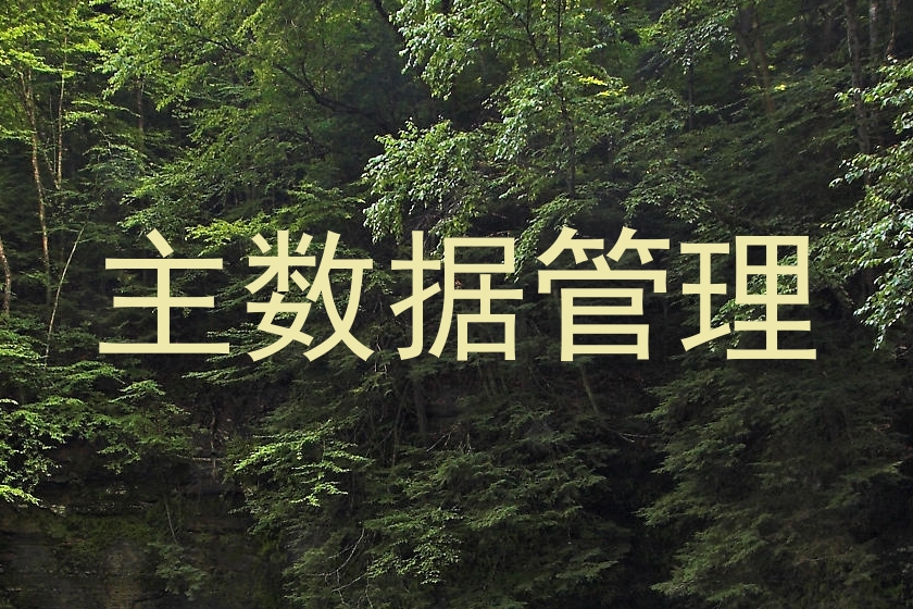 主数据管理