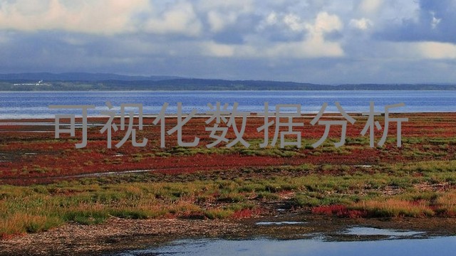 可视化数据分析