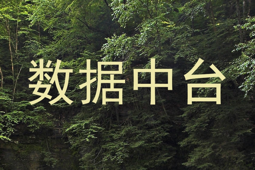 数据中台