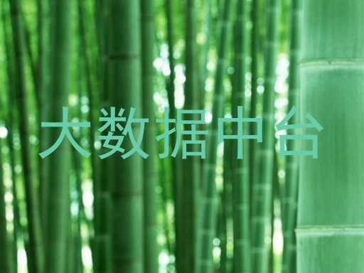 大数据中台