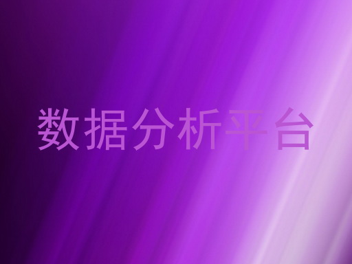 数据分析平台