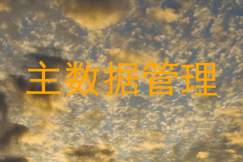 主数据管理