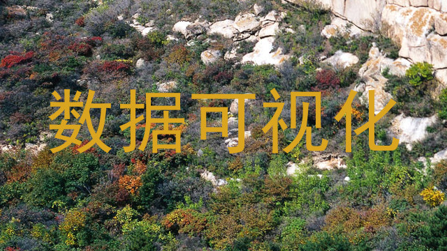 数据可视化