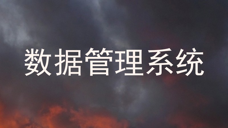 数据管理系统
