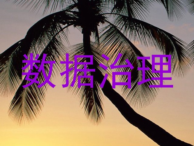 数据治理