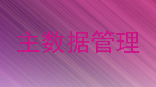 主数据管理