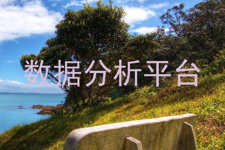 数据分析平台