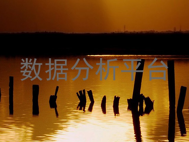 数据分析平台