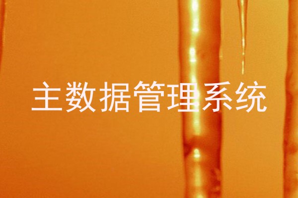主数据管理系统