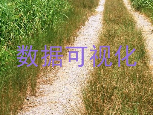 数据可视化
