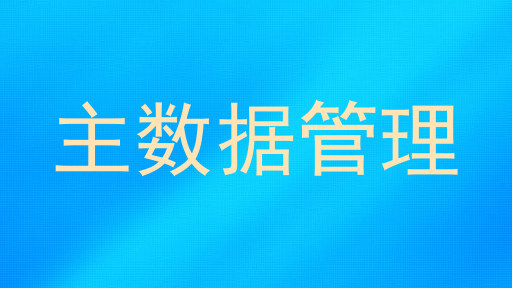 主数据管理