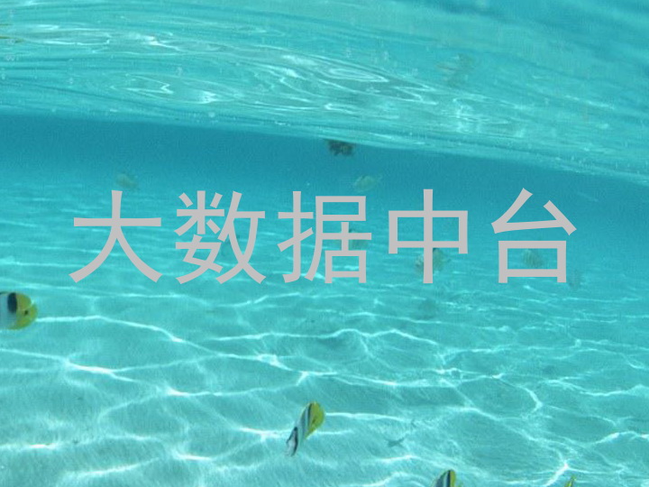 大数据中台