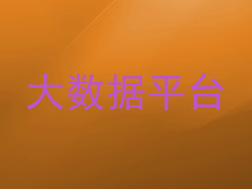 大数据平台