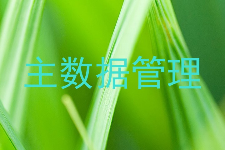 主数据管理