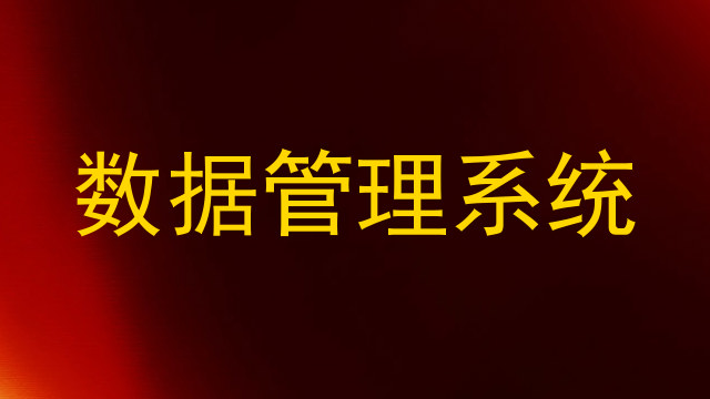 数据管理系统