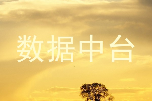数据中台