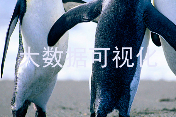 大数据可视化