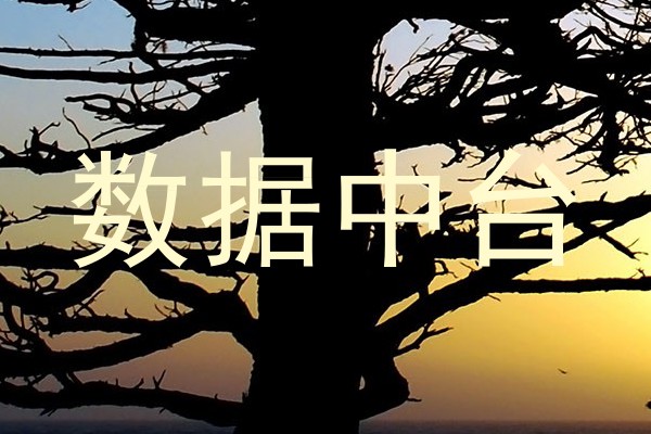 数据中台